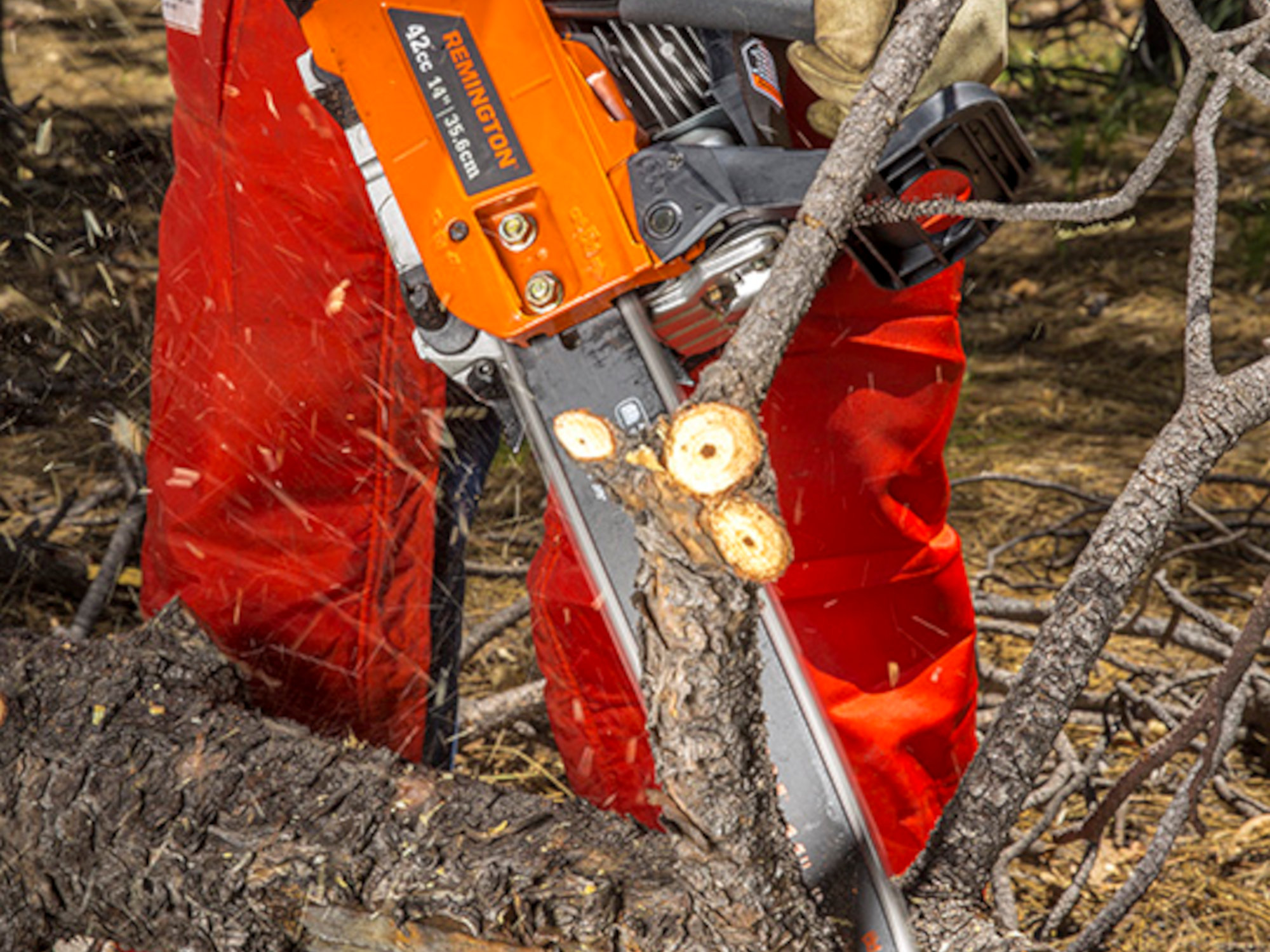 Limbing - Remington RM4214 Rebel