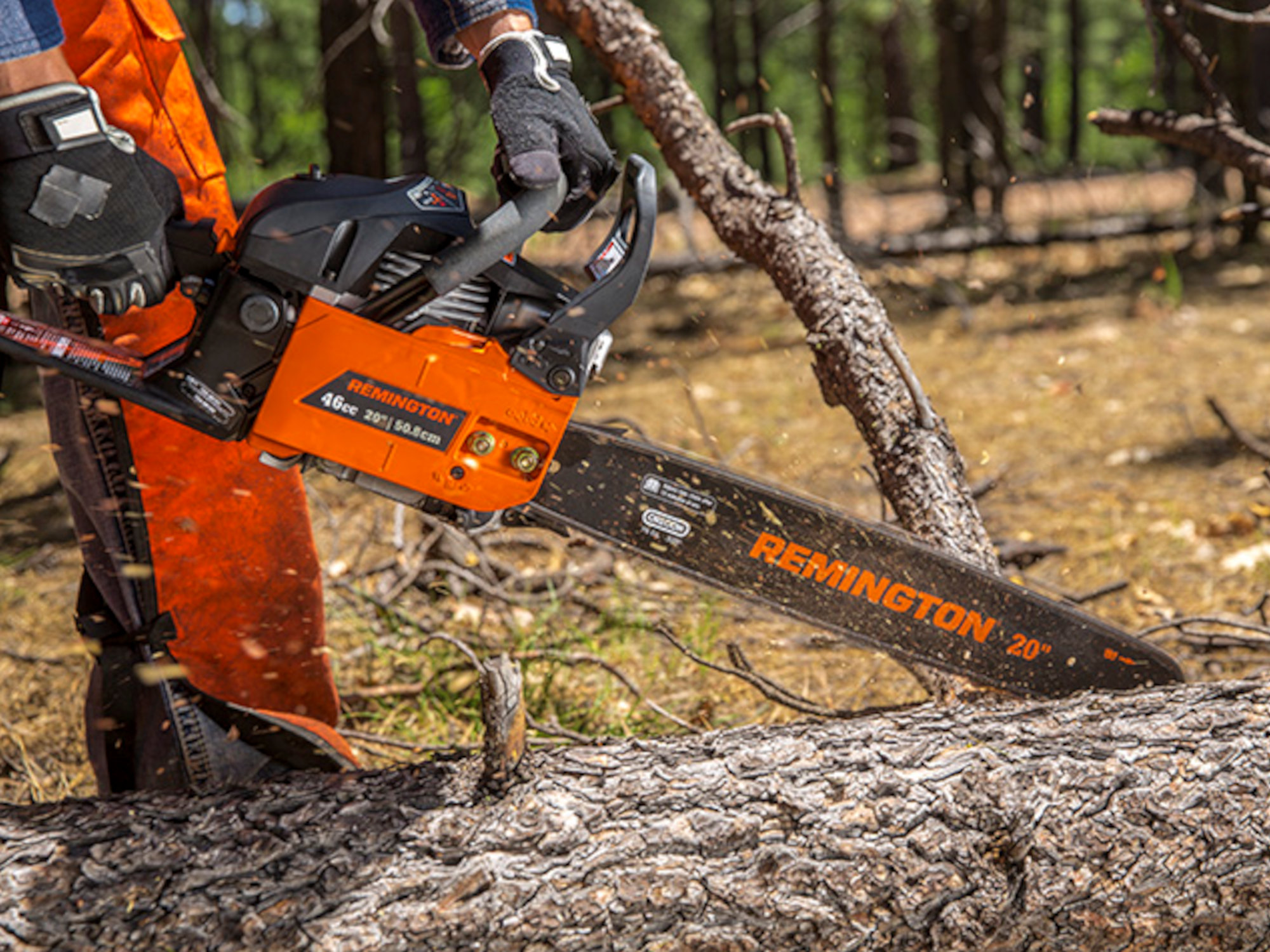 Remington RM4620 The Outlaw — limbing