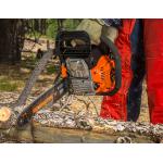 Remington RM4214 Rebel for bucking